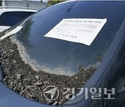 ‘서’ 있기만 해도 위험한 녀석들... 경기도내 장기 무단방치車 몸살