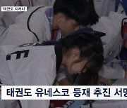 "태권도 종주국 지켜라"…세계 태권도인 나섰다