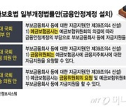 '이것' 달라진 금융안정계정 설치 법안, 이번 국회선 통과되나