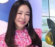 '폐암→담석증 회복' 이혜영, 한남동 한강뷰 집 공개…고가 예술품 '눈길'