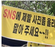 "SNS에 제발 사진 올리지 마세요" 현수막까지 건 '계곡 맛집' 속사정은?