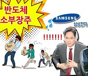 42만 삼전개미 떠날 때, ‘반도체 소부장 개미’ 14만 늘었다…왜? [투자360]