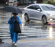 태풍 '종다리' 영향, 비오는 아침