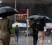 태풍 종다리 영향으로 내리는 비