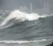 '종다리' 열대저압부 서해안 따라 북상중…전국 곳곳 비바람[뉴스쏙:속]