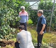 중문농협, 고품질 감귤 생산 기술 교육