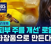 [D리포트] '피부 주름 개선' 효과 로열젤리…화장품으로