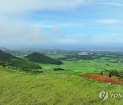 태풍이 지나간 뒤 새별오름