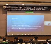 "EU, 디지털시장법에 기업 생산성 약화…韓 적용시 막대한 피해"