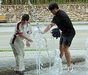 시원한 물줄기 맞아라