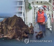 군, 독도 방어훈련 비공개 실시…尹정부 들어 다섯번째