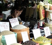 VIETNAM ECONOMY RICE