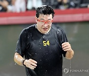 축하 세리머니 받은 양현종