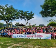 장성군, 황룡강 가을꽃축제 준비 시작…1500평 해바라기 단지 조성