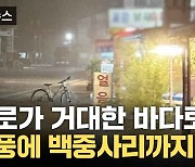 [자막뉴스] 도로가 거대한 바다로...태풍에 백중사리까지 겹쳐 수해