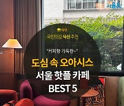 [카드뉴스] 커피향 가득한 도심 속 오아시스, 서울 디저트 카페 5곳