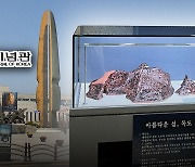 용산 전쟁기념관도 독도 철거‥"진짜 뭐가 있나" 발칵