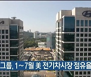 현대차그룹, 1∼7월 美 전기차시장 점유율 2위