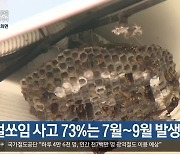 벌쏘임 사고 73%는 7월~9월 발생