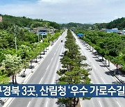 대구·경북 3곳, 산림청 ‘우수 가로수길’