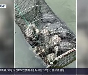 ‘보호한다더니’…천연기념물 남생이 폐사