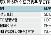 10년새 시총 8배 '쑥쑥' 질주하는 인도 금융株