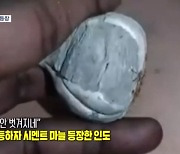 [인터넷 와글와글] 가격 폭등하자 시멘트 마늘 등장한 인도