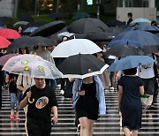 태풍에 전기차 악재까지…자동차보험료 인상론 고개[머니뭐니]