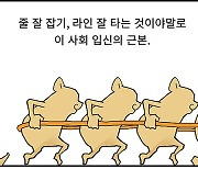 라인의 황금 [굽시니스트 시사 만화]