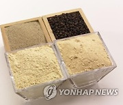 [신간] 후추 욕심이 세계를 바꾸었다…'향신료 전쟁'