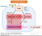 차백신연구소·목암생명과학연구소, AI 활용 면역항암제 원리 규명