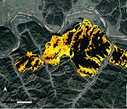 AI 장착해 산불 탐지 성능 높인다…내년 발사 `농림위성`에 적용