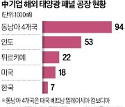 '동남아 피신' 中 태양광 공장 줄폐업