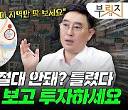 빌라는 위험? "한 채는 갖고 계세요"…'이것' 보고 투자하라는데[부릿지]