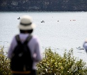 AUSTRALIA WHALE RESCUE