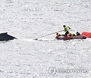 AUSTRALIA WHALE RESCUE