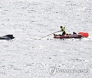 AUSTRALIA WHALE RESCUE