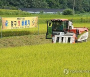 '자연중심 양구 오대쌀 첫 벼 베기' 행사