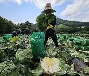 김광성 평창군의원, 외국인 계절근로자 지원 조례 입법 예고