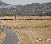 SPAIN CYCLING