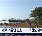 제주 귀촌인 감소.. 가구원도 줄어