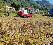 공익직불제 시행 5년차 개선 목소리↑…"임차농 보호 방안 보완해야"