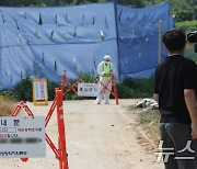 "럼피스킨 원천 차단"…정부, 발생 인접지역·항만 합동점검