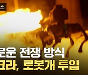 [자막뉴스] 인간전쟁에 뛰어든 로봇...우크라, 로봇개 투입