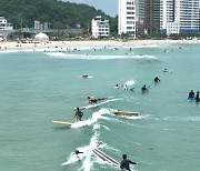 '유흥 성지'로 변질된 서핑 명소...양양 인구해변의 위기