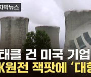 [자막뉴스] K원전 '잭팟' 눈앞에 다가왔는데...수출 앞두고 막판 변수가