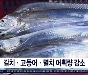 갈치·고등어·멸치 어획량 감소