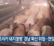 ‘아프리카 돼지열병’ 경남 확산 위험…현장 점검