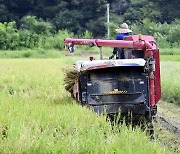 A farmer harvests rice in Hwacheon, Gyeonggi