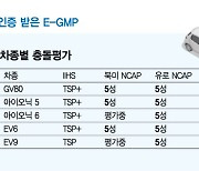 "현대차그룹 전기차는 안전하다"…'E-GMP'로 캐즘·포비아 극복